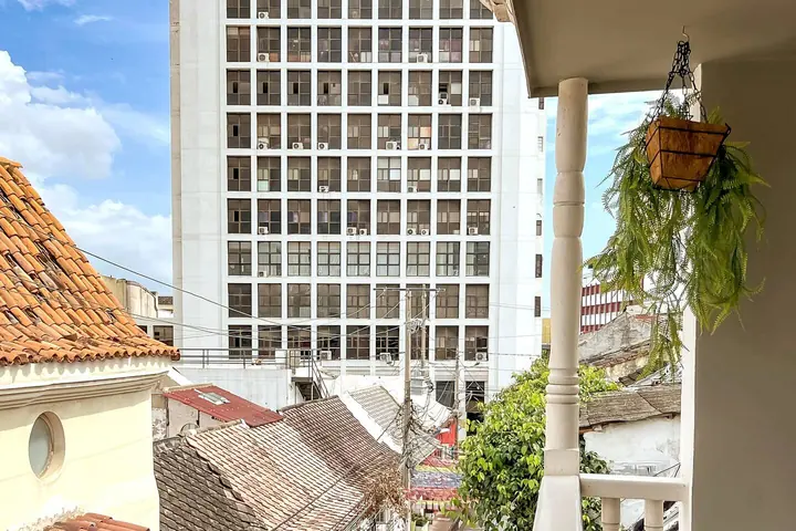 View from the balcony with a hanging plant and tiled roofs