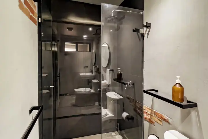 Walk-in shower with a smoked glass screen